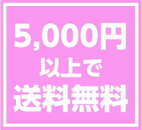 送料無料例